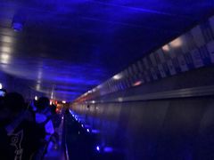 -白鹤梁水下博物馆