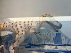 -陕西自然博物馆