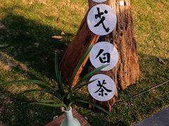 -墨池公园