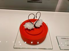 -BLACKSWAN黑天鹅(新希望店)