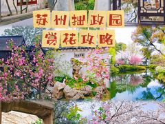 -拙政园