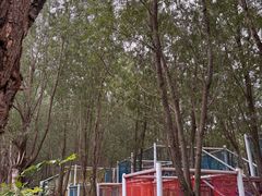 -西部长青自然儿童乐园