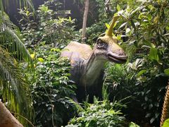 -呀路古热带植物园