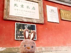 -北京国子监胡同