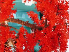 -透明思烤·自助烤肉海鲜火锅(东部星悦天地店)