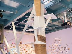 -喵屿·大理花园猫咖