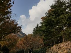 -石老人观光园