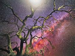 -罗红摄影艺术馆