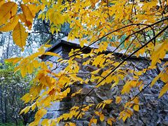 -香山公园