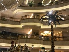 -上海大酒店(南京东路店)