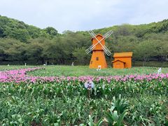 -苏州上方山国家森林公园