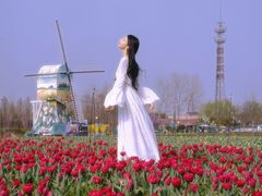 -荷兰花海