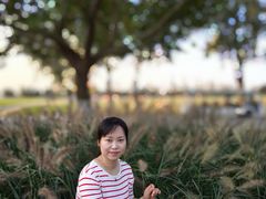 -汉长安城未央宫国家考古遗址公园