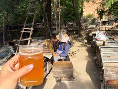 -百泉景区
