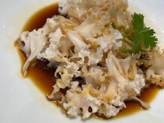 -碧丽宫大酒店(召稼楼店)