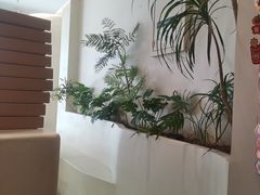 -Fvacee 福万斯柠檬茶·咖啡(狮山店)