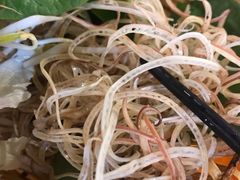 -Draft Beer Restaurant & Bar