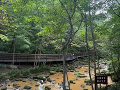 -茅兰沟国家森林公园