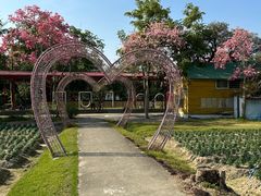 -广东花都香草世界旅游度假区