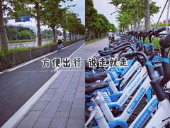 -宝安西湾红树林湿地公园