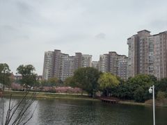 -新江湾城公园