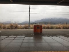 -亿民平安国际大酒店西餐厅(彩田北路店)