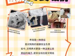 -瑞派天使宠物医院·神经外科·骨科·核磁CT(洛川中路店)