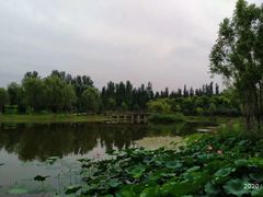 -东郊湿地公园