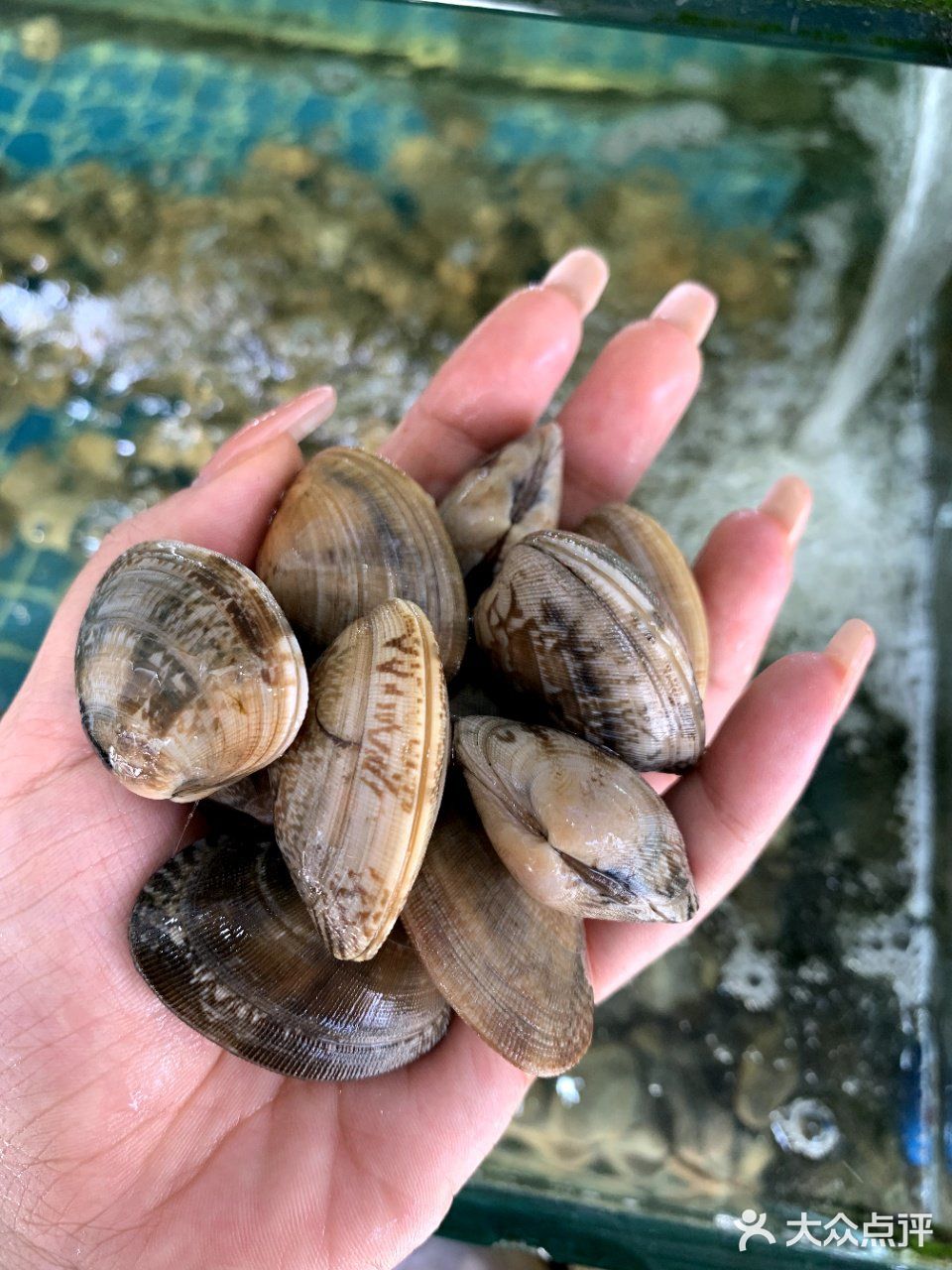 永远为小胡子海鲜店鼓掌👏性价比超高