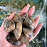 永远为小胡子海鲜店鼓掌👏性价比超高