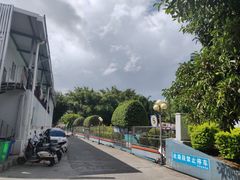 -勐丽梦兰傣味餐厅