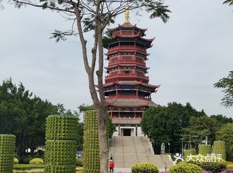 十一月份白天的园博苑真的没什么来的必要