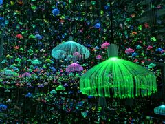 -福州奇幻解压馆(东泰禾旗舰店)