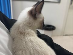 -佳雯宠物医院·皮肤科·内外科(春晓路分院)