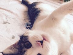 -美迦爱-牙专科·兔科·骨科诊疗中心(北苑店)