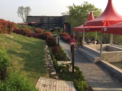 -汤山温泉房车营地 茶温泉