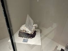 -安徽省地质博物馆