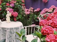 -上海滨江森林公园