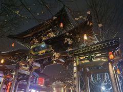 -兰边碗(鼓楼店)