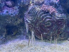 -大连老虎滩海洋公园