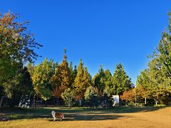 -绿堤公园