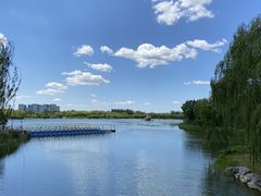 -大兴滨河森林公园