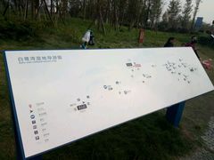 -白鹭湾湿地公园