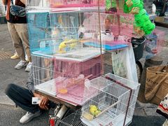 -北京国子监胡同