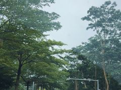 -梧桐山风景名胜区