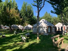 -九十九顶毡房(阜石路店)