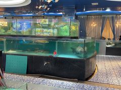 -都市阳光海鲜城(青山湖店)