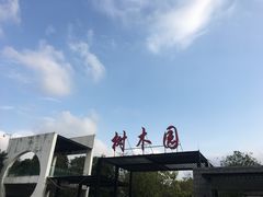 -中山市树木园