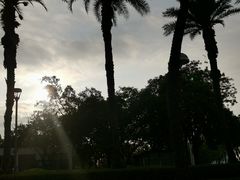 -厦门园林博览苑
