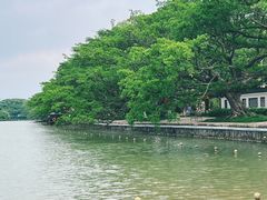 -江心屿景区